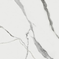 Statuario Sugar Lappato Rett 60x60