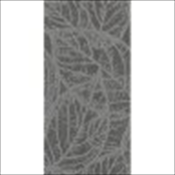 Inserto Antonella Grafit 30x60