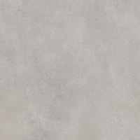 Silkdust Light Grys Mat 59,8x59,8