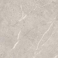 Sunnydust Light Grys Mat 59,8x59,8