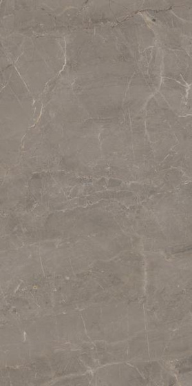 Wonderstone Light Grey Poler 59,8x119,8