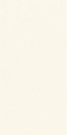 Golden Obsession Bianco 29,8x59,8