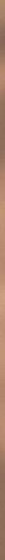Uniwersalna Listwa Metalowa Paradyz Gold 1x89,8