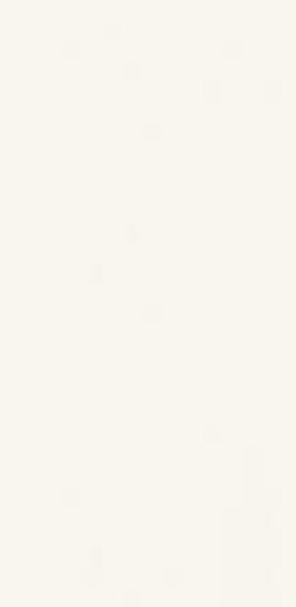 Gamma Bianco Mat 9,8x29,8