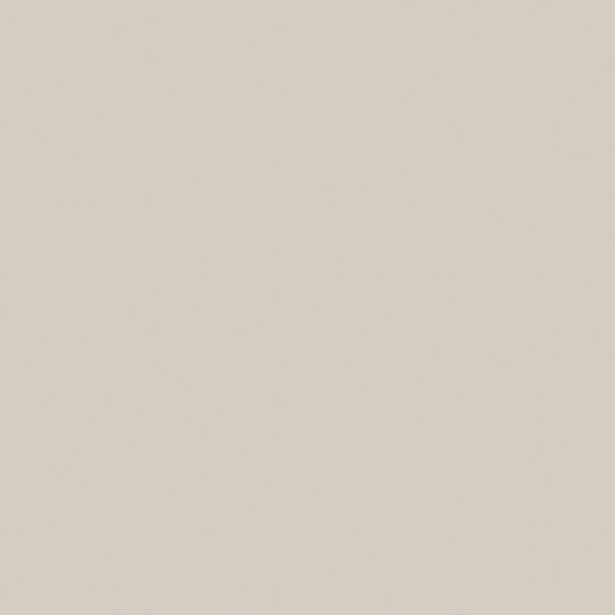 Gamma Popielata Polysk 19,8x19,8