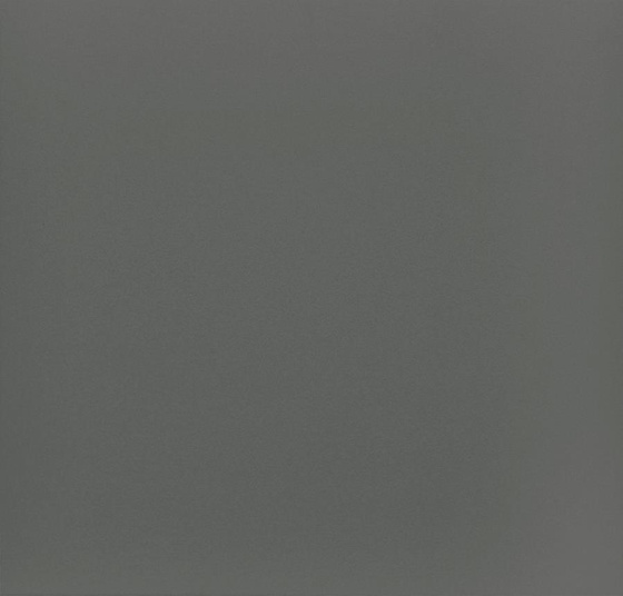 Bazo Grys Monokolor Mat 19,8x19,8