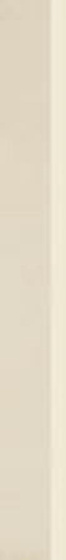 Naturstone Beige Cokół Mat 7,2x59,8