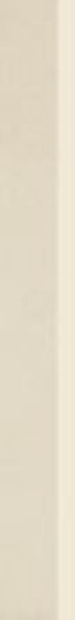 Naturstone Beige Cokół Poler 7,2x59,8