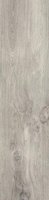 Płyta Tarasowa Sherwood Bianco Struktura 20 mm Mat 29,5x119,5