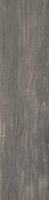 Płyta Tarasowa Sherwood Grys Struktura 20 mm Mat 29,5x119,5