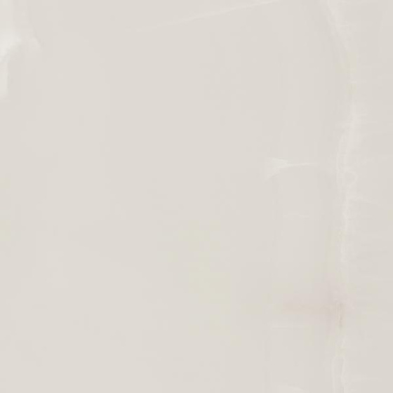 Elegantstone Bianco Półpoler 59,8x59,8