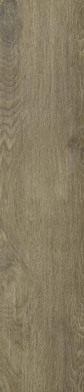 Roble Ochra Mat 19,8x119,8