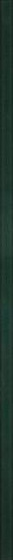 Uniwersalna Listwa Szklana Paradyz Green 2,3x89,8
