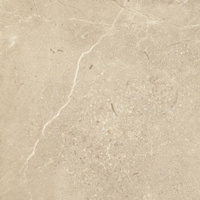 Sunnydust Beige Mat 59,8x59,8