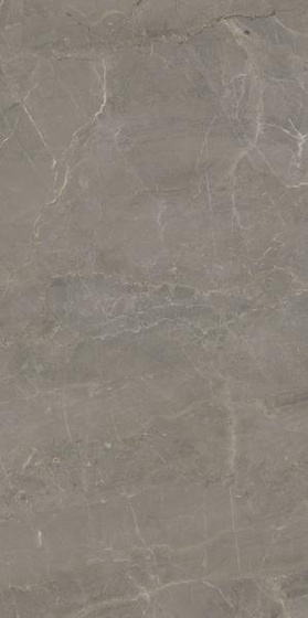 Wonderstone Light Grey Poler 59,8x119,8
