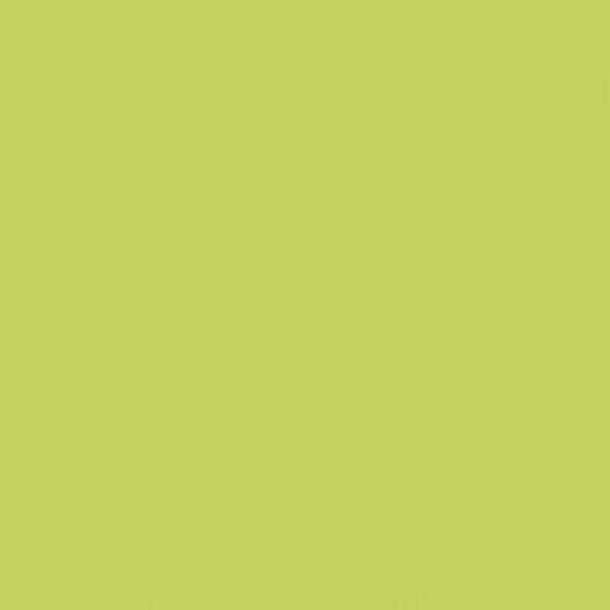 Gamma Seledynowa Polysk 19,8x19,8