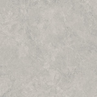 Lightstone Grey Mat 59,8x59,8