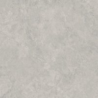 Lightstone Grey Półpoler 59,8x59,8