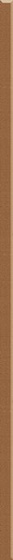 Uniwersalna Listwa Szklana Paradyz Brown 2,3x97,7