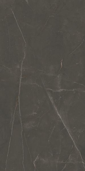 Linearstone Brown Mat 59,8x119,8