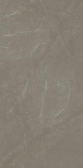 Linearstone Taupe Mat 59,8x119,8