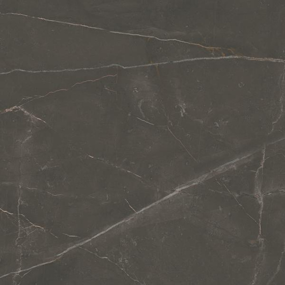 Linearstone Brown Mat 59,8x59,8