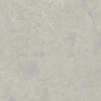 Lightstone Grey Mat 59,8x59,8