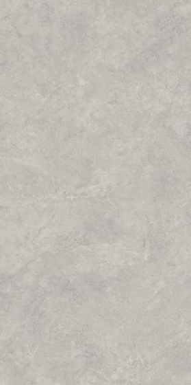Lightstone Grey Półpoler 59,8x119,8