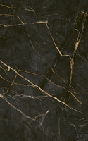 Alphaville Nero 25x40