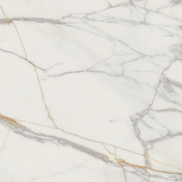 Marmo Doro Pol 119,8x119,8