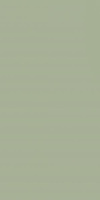 Feelings Green 29,8x59,8