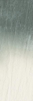 Nightwish Navy Green Tonal Struktura 25x75