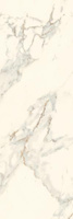 Serene Bianco 25x75