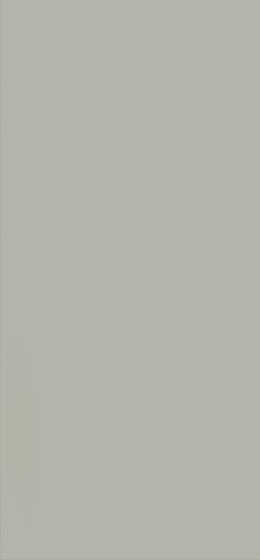 Neve Grys Mat 29,8x59,8