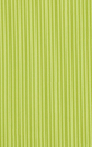 PS205 Green 25x40