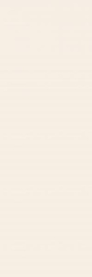 Neve Bianco Mat 19,8x39,8