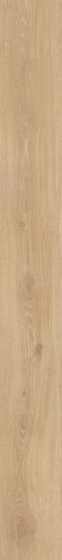 Heartwood Honey Struktura Mat 19,8x179,8