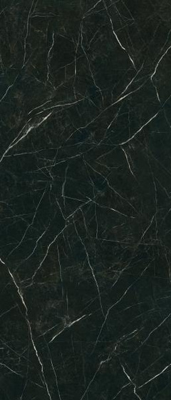 Desire Black Poler 120x280