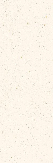 Estetic Bianco 29,8x89,8