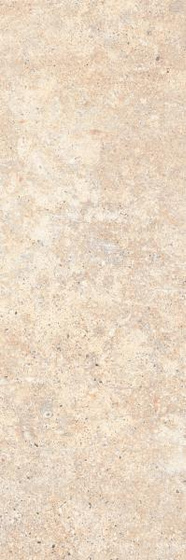 Freedom Beige 25x75