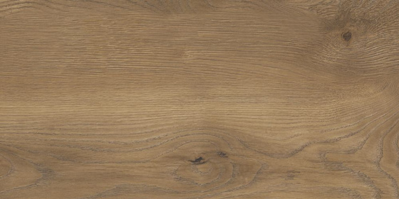 Taiga Jukon Brown 31x62