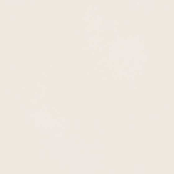 Tones White Mat My 59,8x59,8