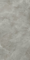 Harmonic Grey Pol 59,8x119,8