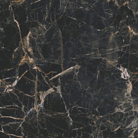 Marquina Gold 119,7x119,7x0,8