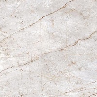 Tanish Grys Mat 59,8x59,8