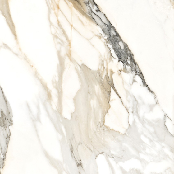 Calacatta Gold Rett Poler 59x59