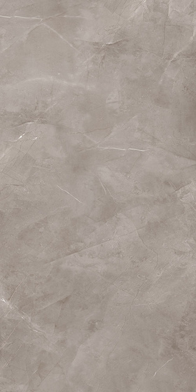 Harmonic Grey Pol 239,8x119,8