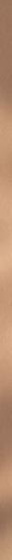 Uniwersalna Listwa Metalowa Gold Mat Profil 2x119,8