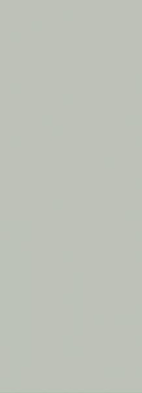 Neve Grys Polysk 25x40