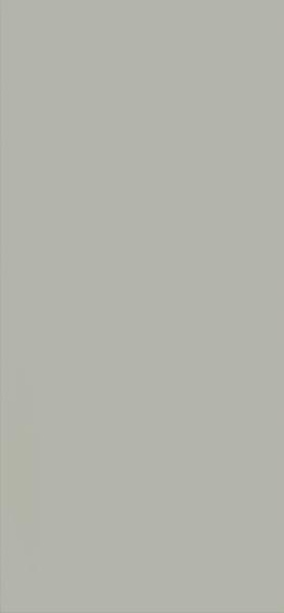 Neve Grys Polysk 30x60